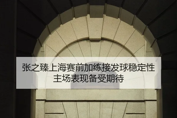 张之臻上海赛前加练接发球稳定性 主场表现备受期待